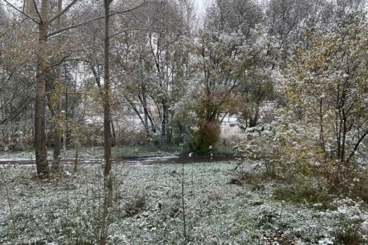    МЧС предупредило жителей Петербурга о заморозках