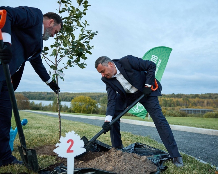     В «Сенеже» будут расти яблони из Курской области