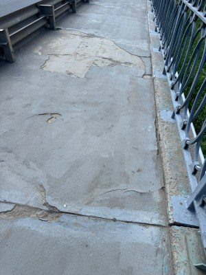 Фото: Александр Моисеев  📷
