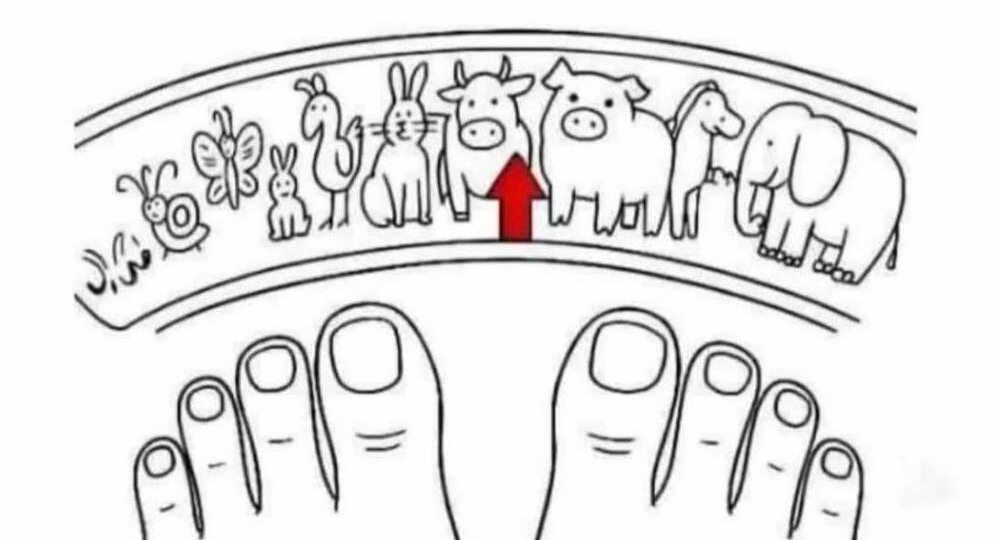 Веселая суббота. Анекдоты