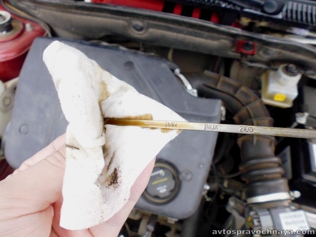 Фото: автора