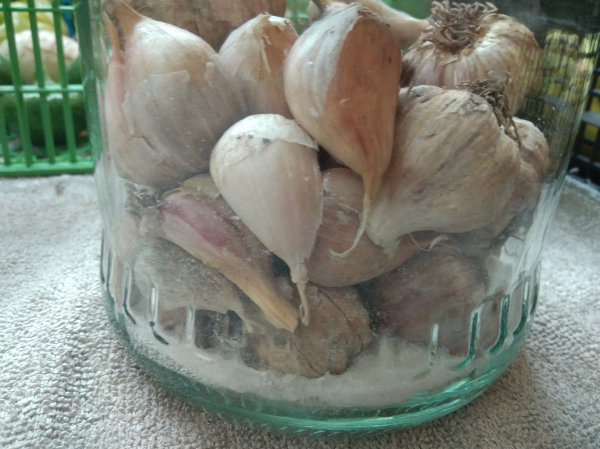 Соли для чеснока достаточно насыпать на дно банки небольшим слоем