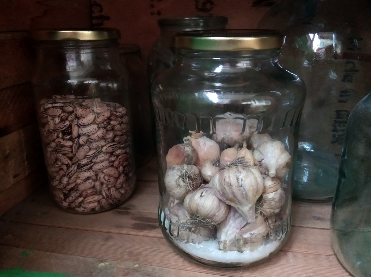 Храню чеснок в банке с солью на балконе
