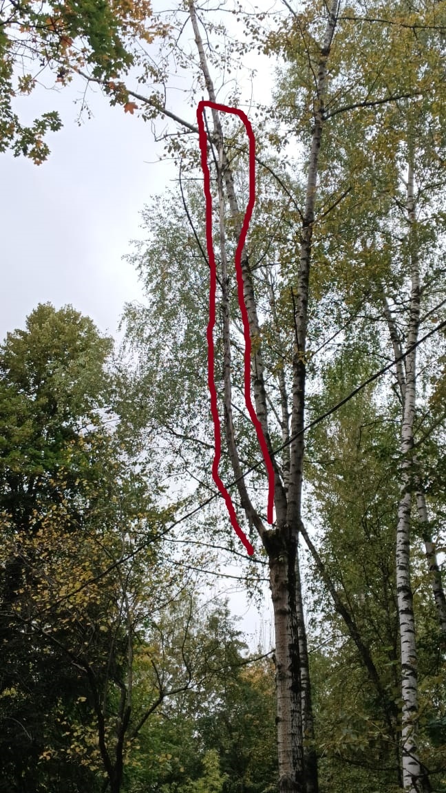 Управа района Северное Измайлово города Москвы