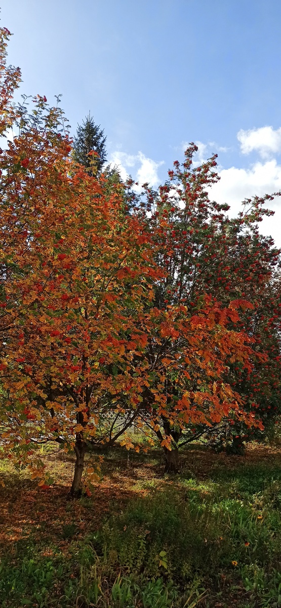 Какова красота!) 🥰