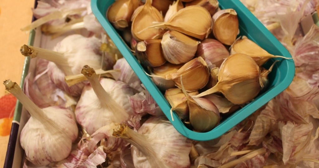 Удобрения, которые я всегда вношу под посадку чеснока