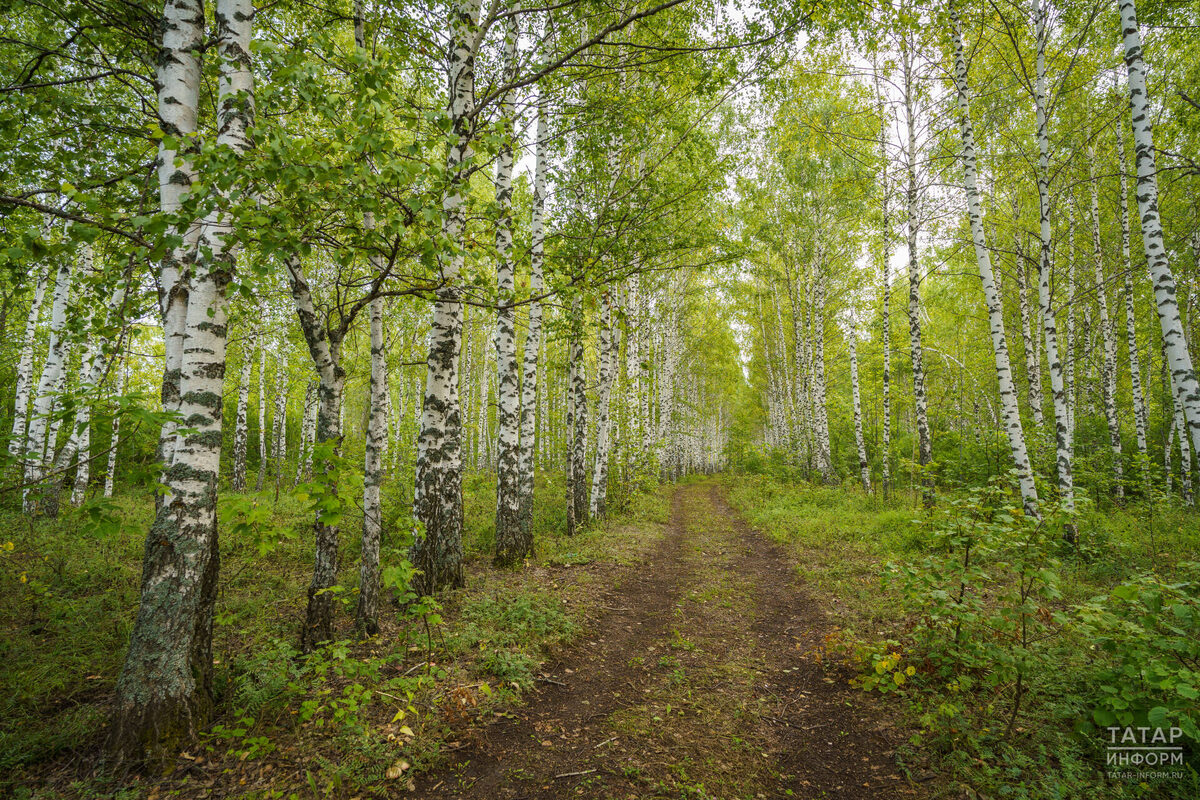 Фото: © Владимир Васильев / «Татар-информ»