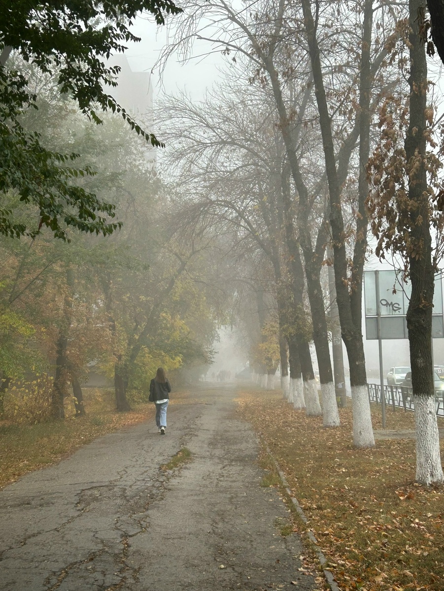    Фото: Анастасия Максименко