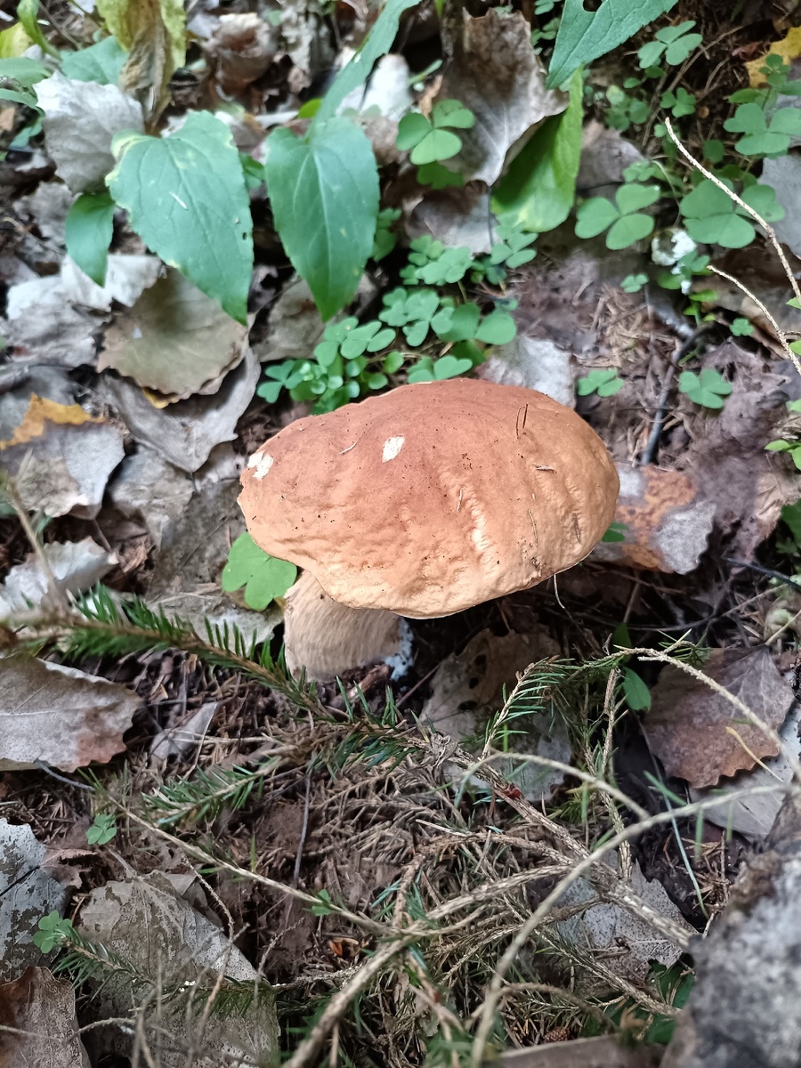 Фото автора статьи 