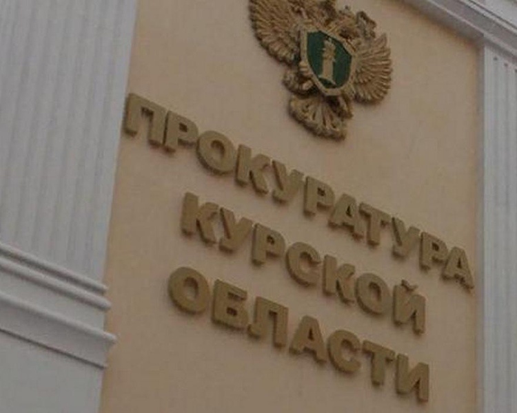     Курская прокуратура взяла под контроль ДПТ, в котором погиб ребенок
