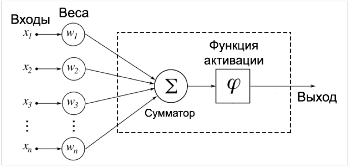 схема перцептрона