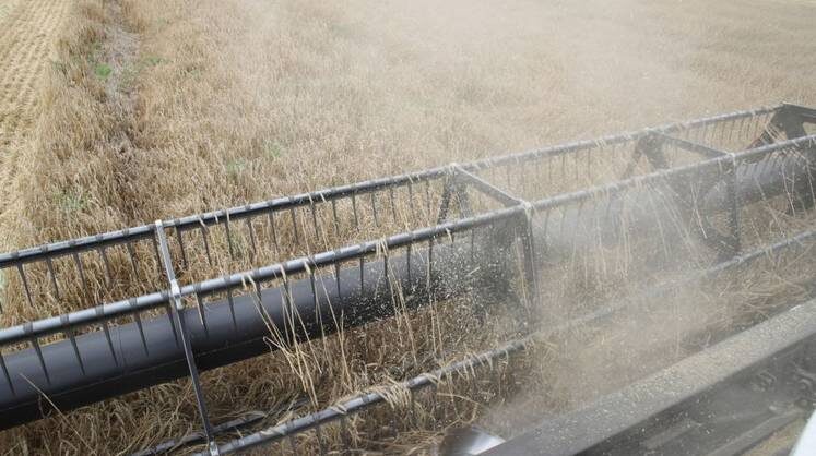    пресс-служба правительства ростовской области