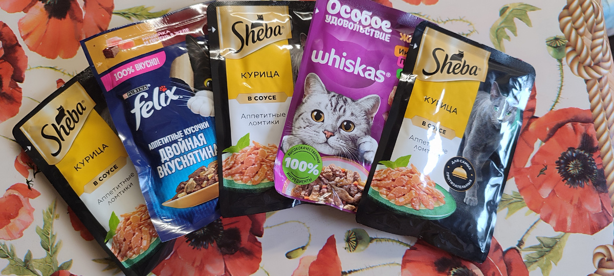 Тимохин донат сегодня