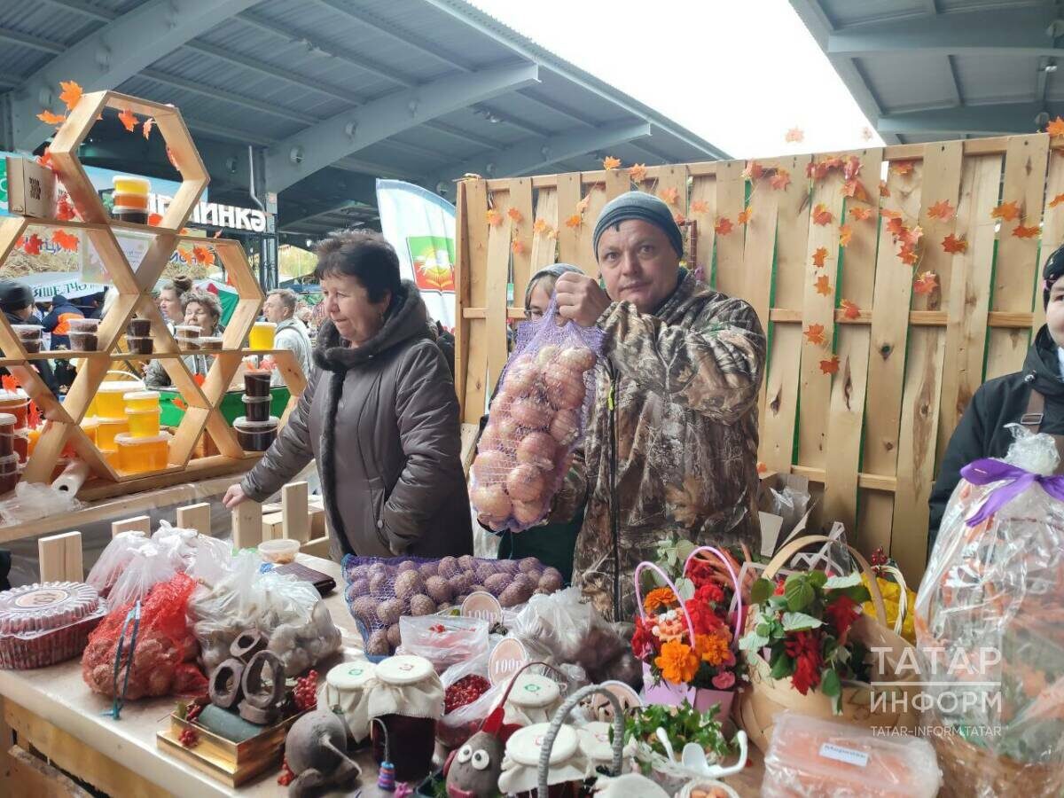 Фото: © Юлай Низаев / «Татар-информ»