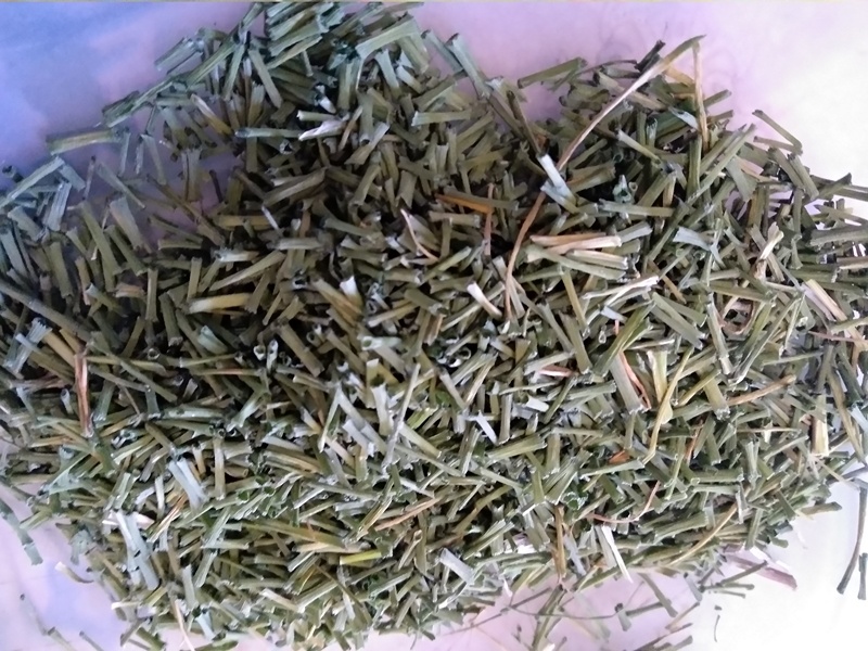 В высушенном виде