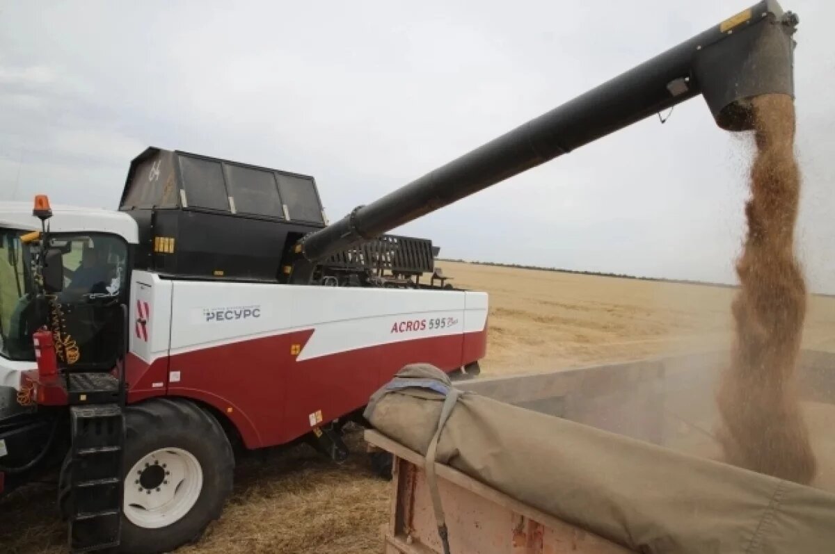    В Ростовской области введут ЧС федерального уровня из-за гибели урожая