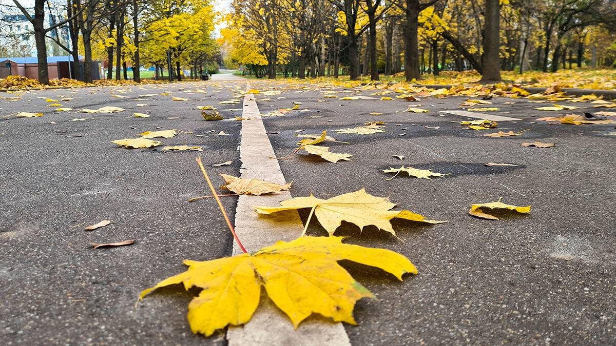    Фото: Денис Воронин / АГН Москва