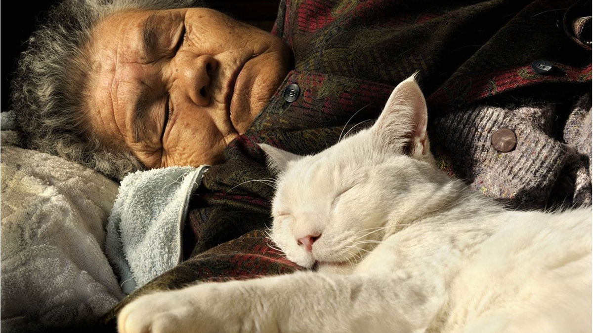 Учёные раскрыли норму сна для пожилых: ответ удивил даже скептиков