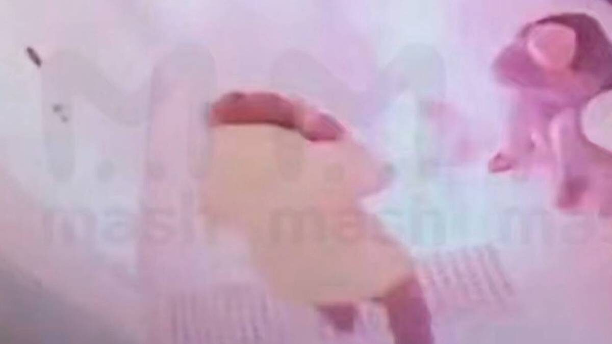    Фото: Скриншот видео / Mash / Telegram