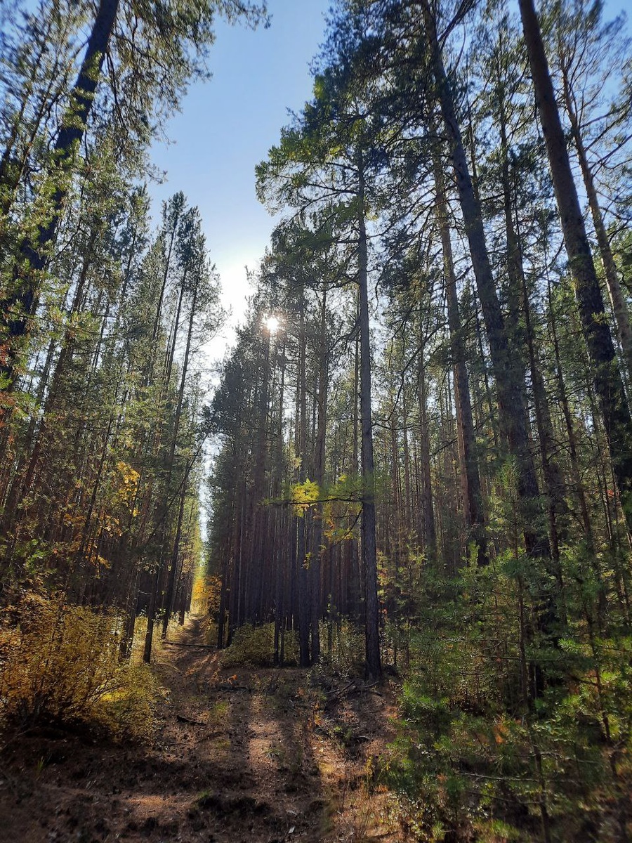 Фото автора.