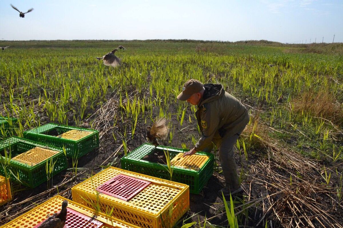   Фото: пресс-служба Минприроды Краснодарского края