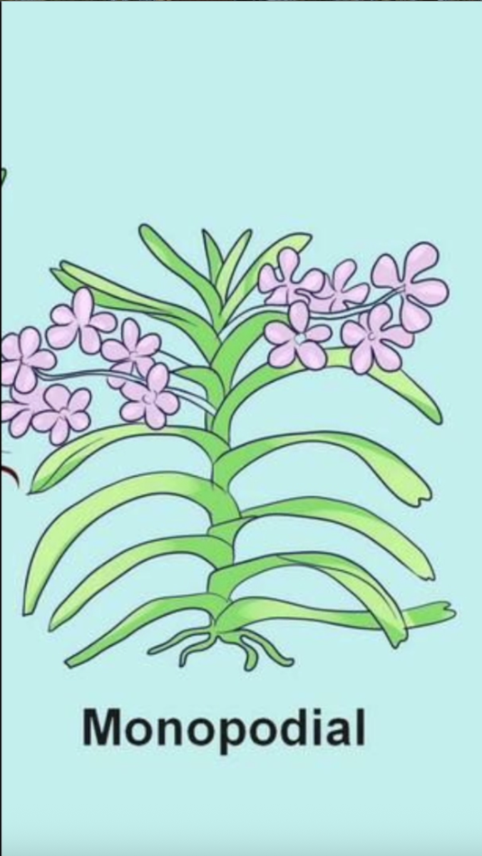 Изображение из инета