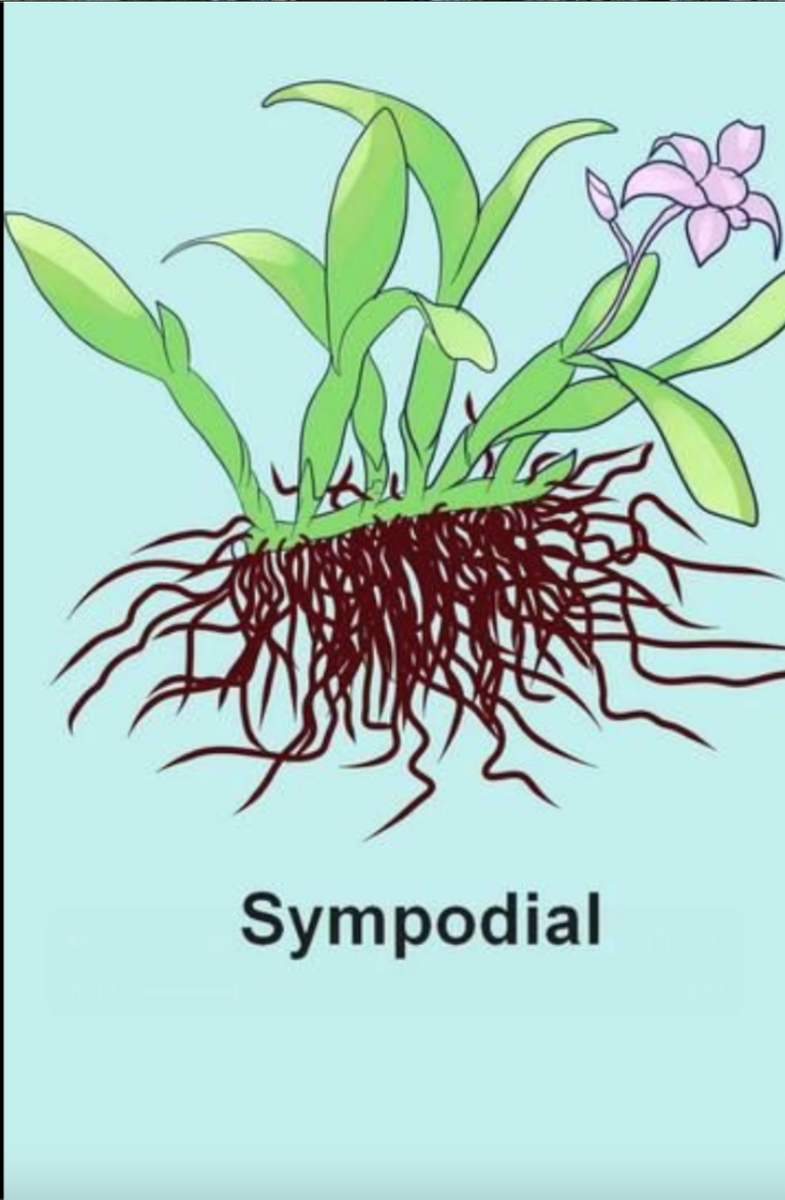 Изображение из инета