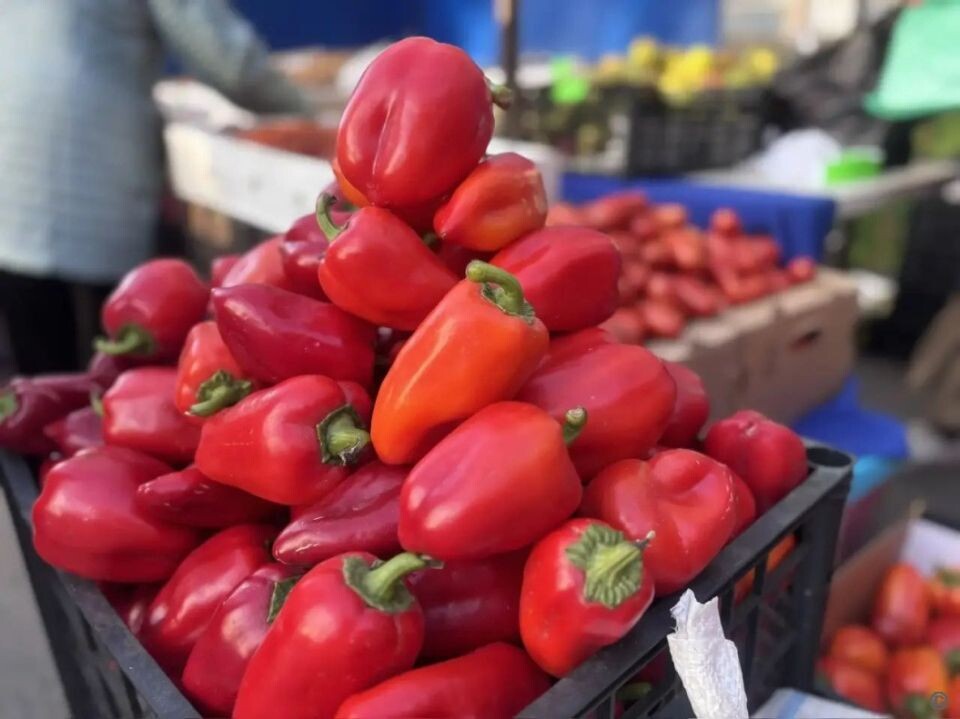    Ярмарки в Барнауле 27 сентября. Источник: barnaul.org