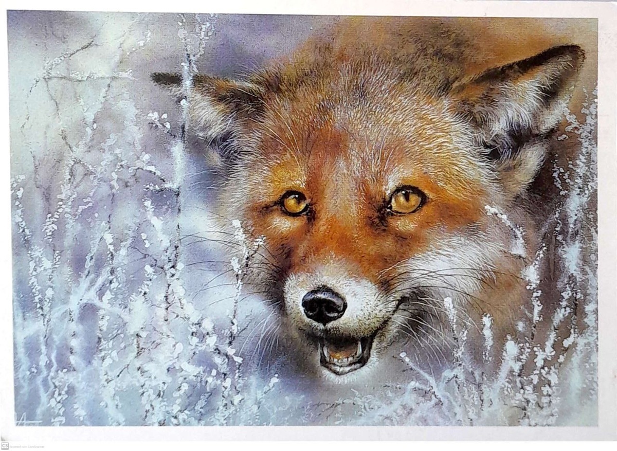 Художник А. Исаков, 1989. Лиса