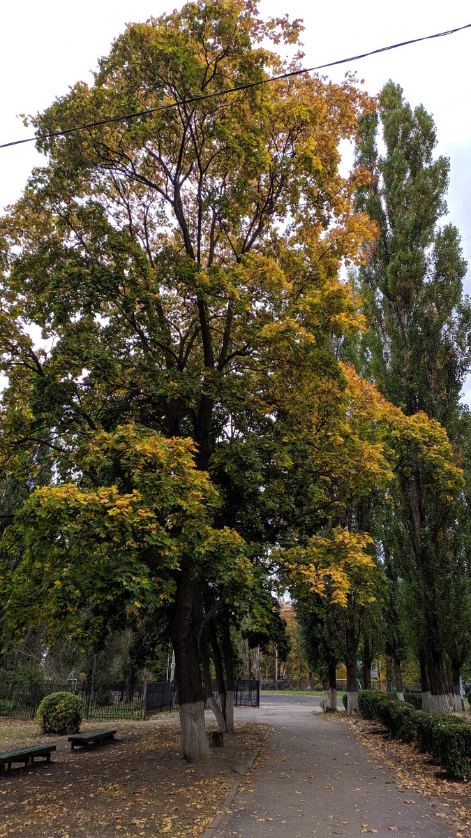 Фото автора 