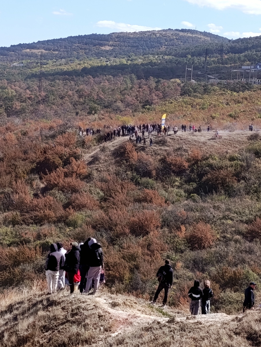 Зрители или болельщики. 