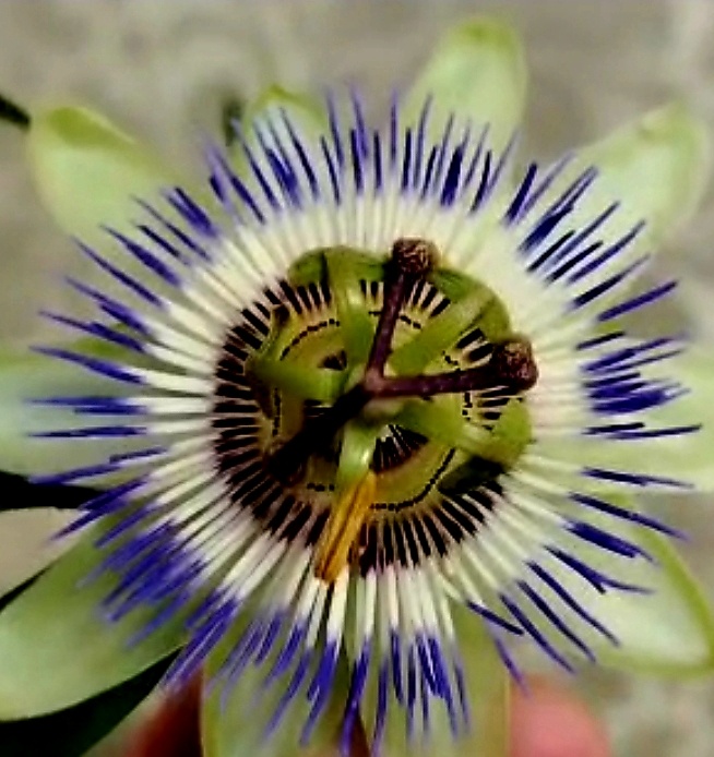 Фото сватьи автора статьи