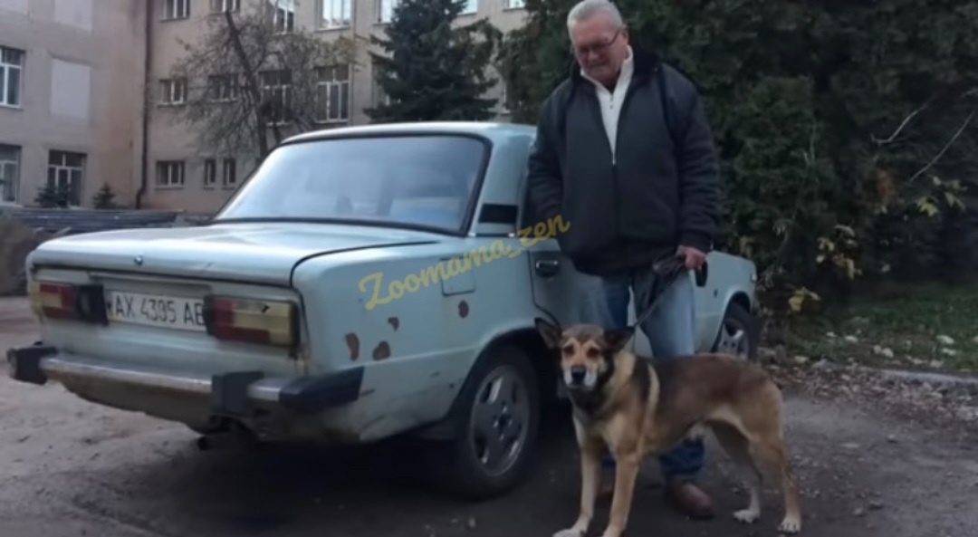 На этой развалюхе они приехали...В ней и выживали в холода