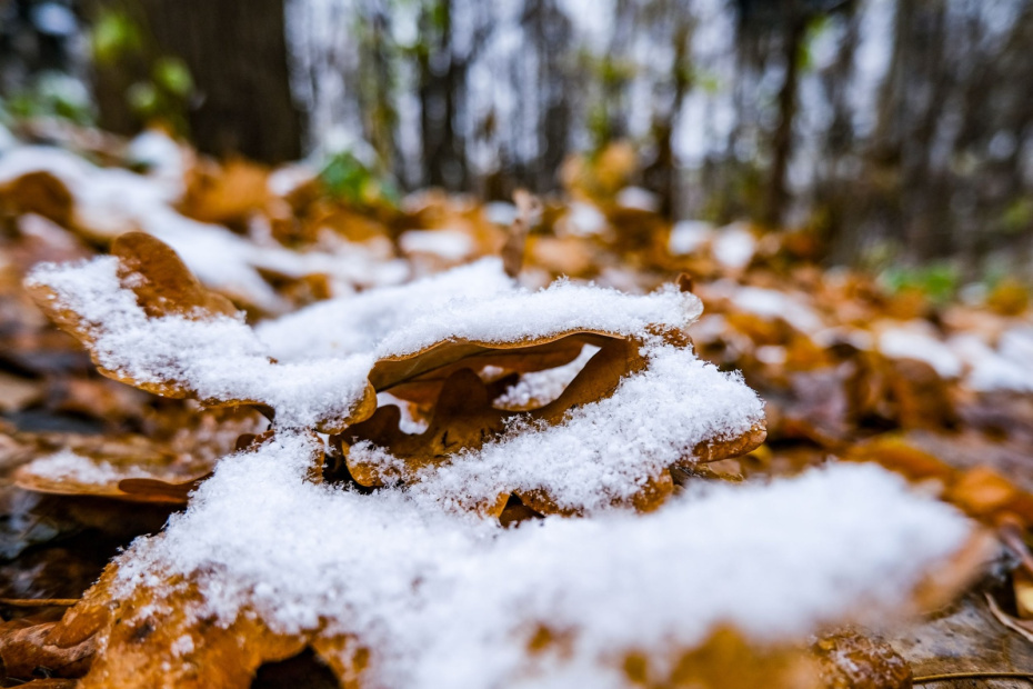    Сергей Лантюхов/NEWS.ru