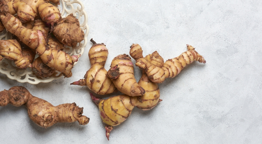 корневище канны