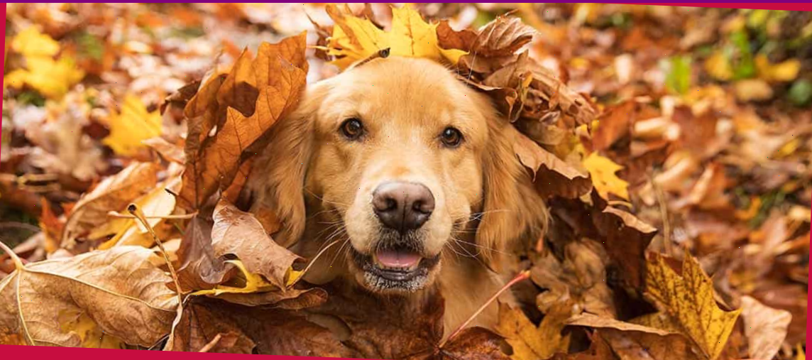 Попробуй отыщи теперь.