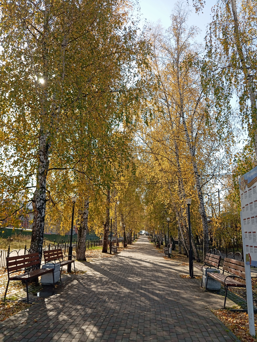 Осень золотая