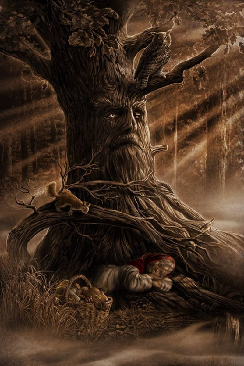 Современный человек, уставший от городского шума, воспринимает лес совсем не так, как предки сотни лет назад. 