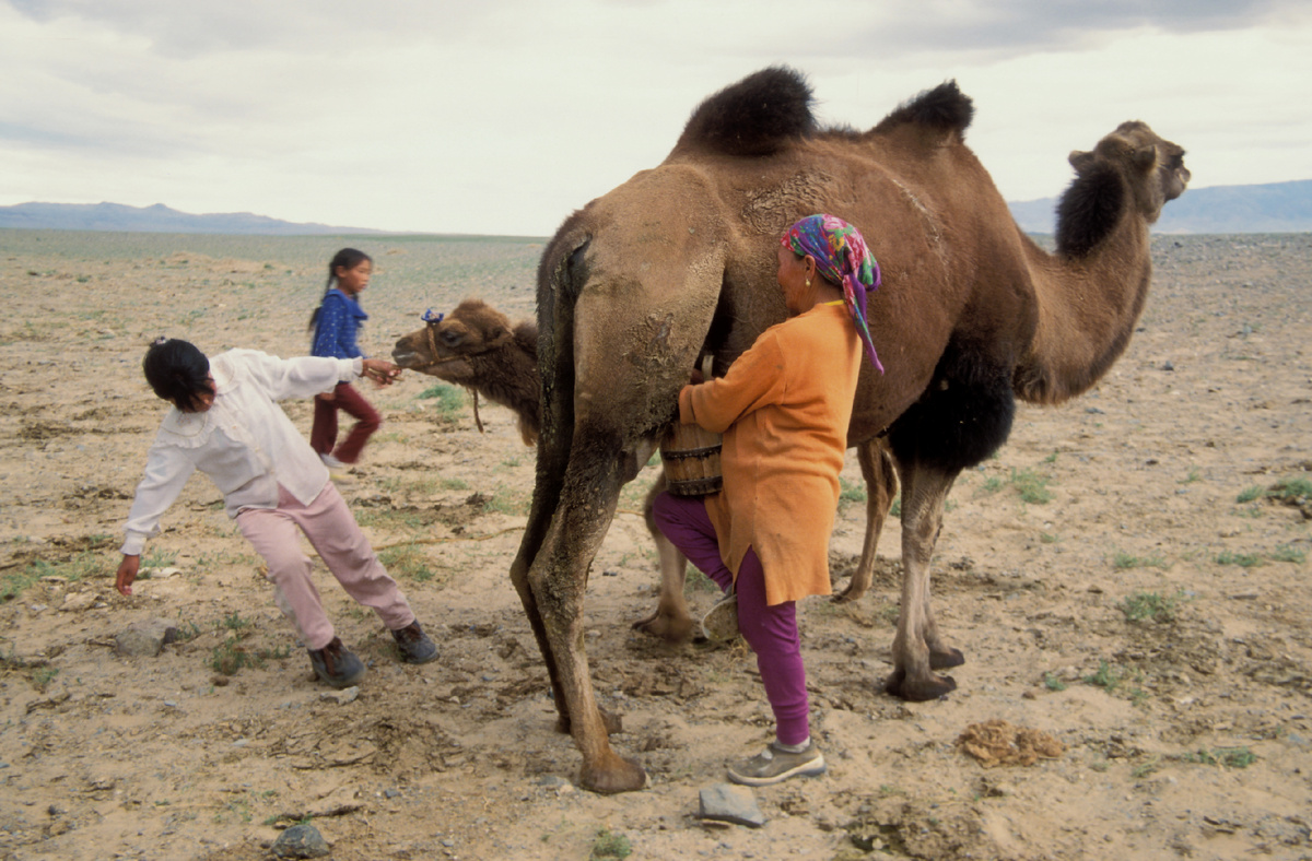 Konstantin Mikhailov/Globallookpress