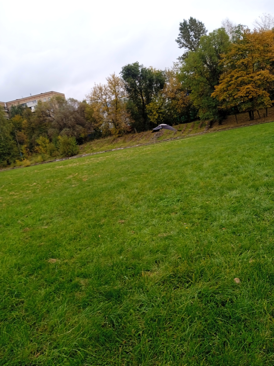 Вот такое красивое, зелёное футбольное поле у нас возле дома