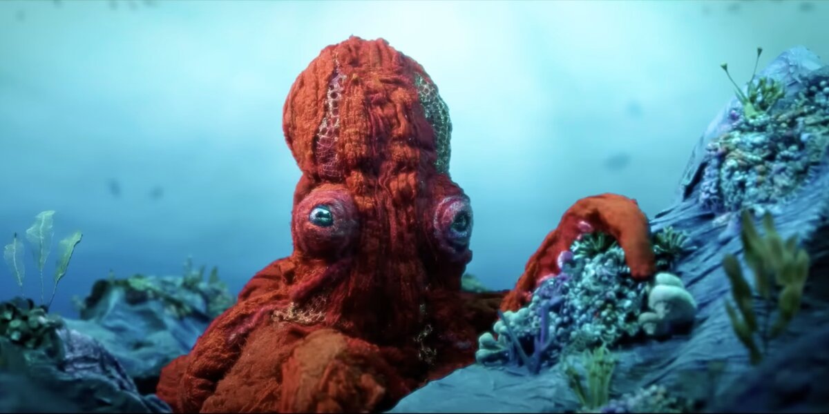 Кадр из сериала «Осьминог!»