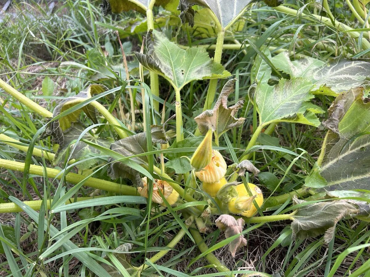    Фото: читательница Мойки78