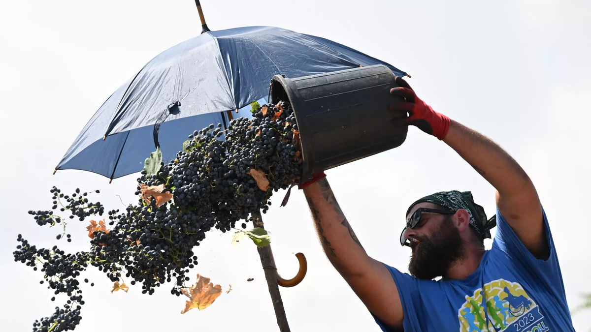 © photo: Sputnik / Stringer