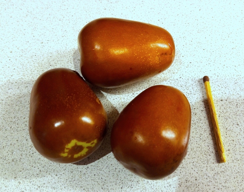 Плоды зизифуса. Личное фото