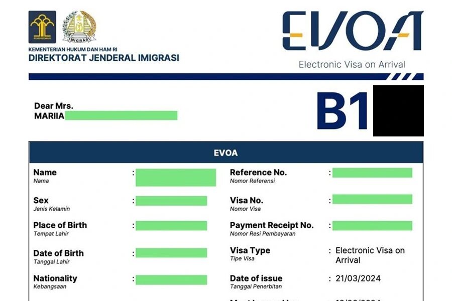 Так выглядит виза E-VOA, она имеет категорию B1
