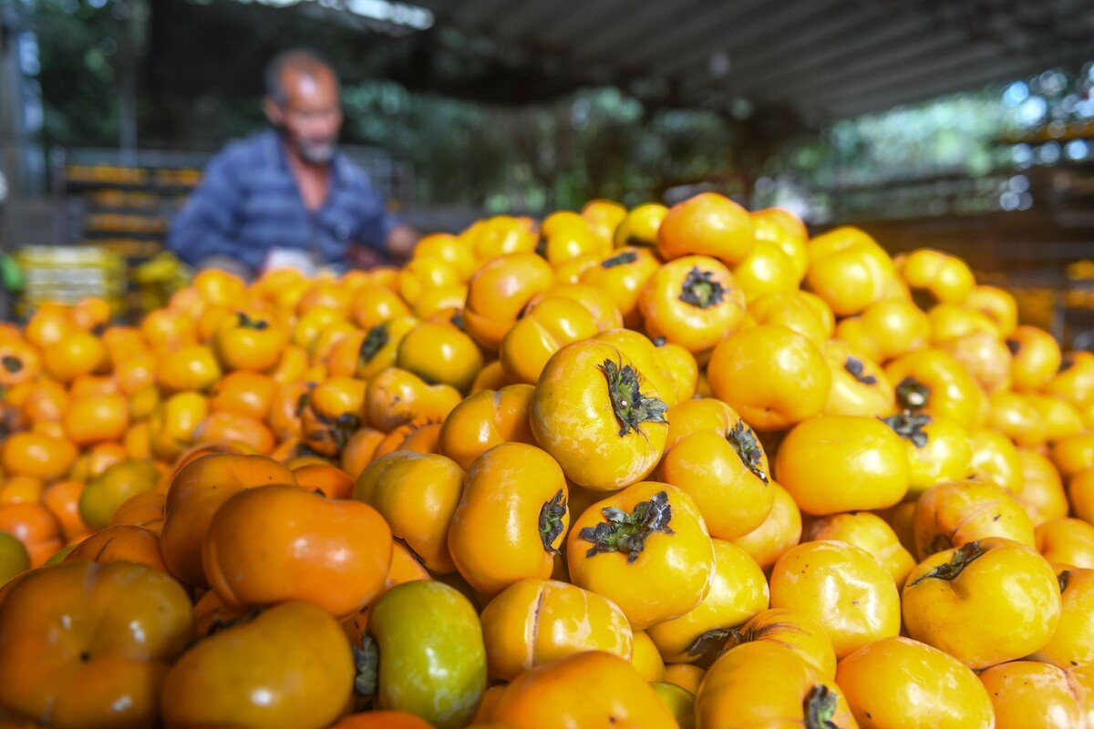     / Источник: © Jiang Keqing/VCG/Visual China Gr/TASS