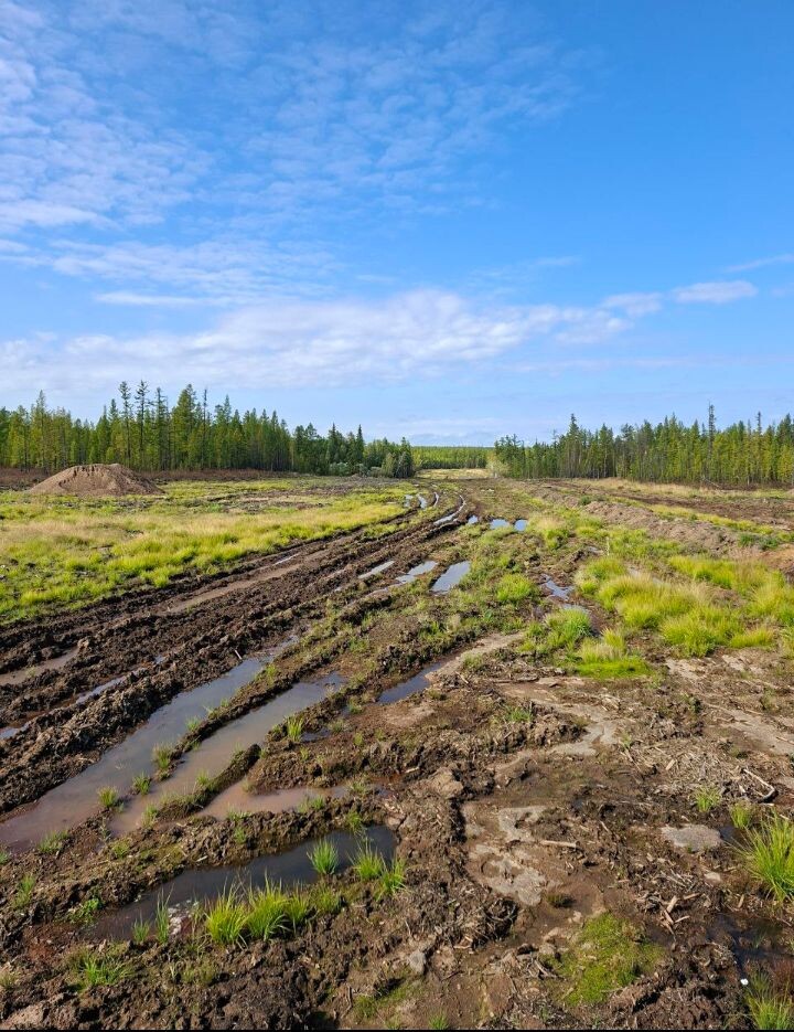 Дороги к Мирному