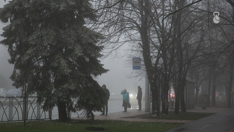      Фото: Валерия Алтухова / / ИА «Победа26»