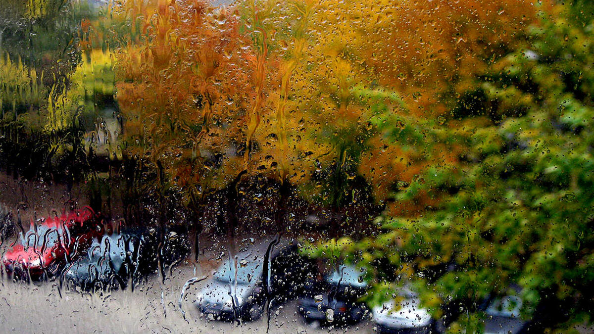 Осеннее окно