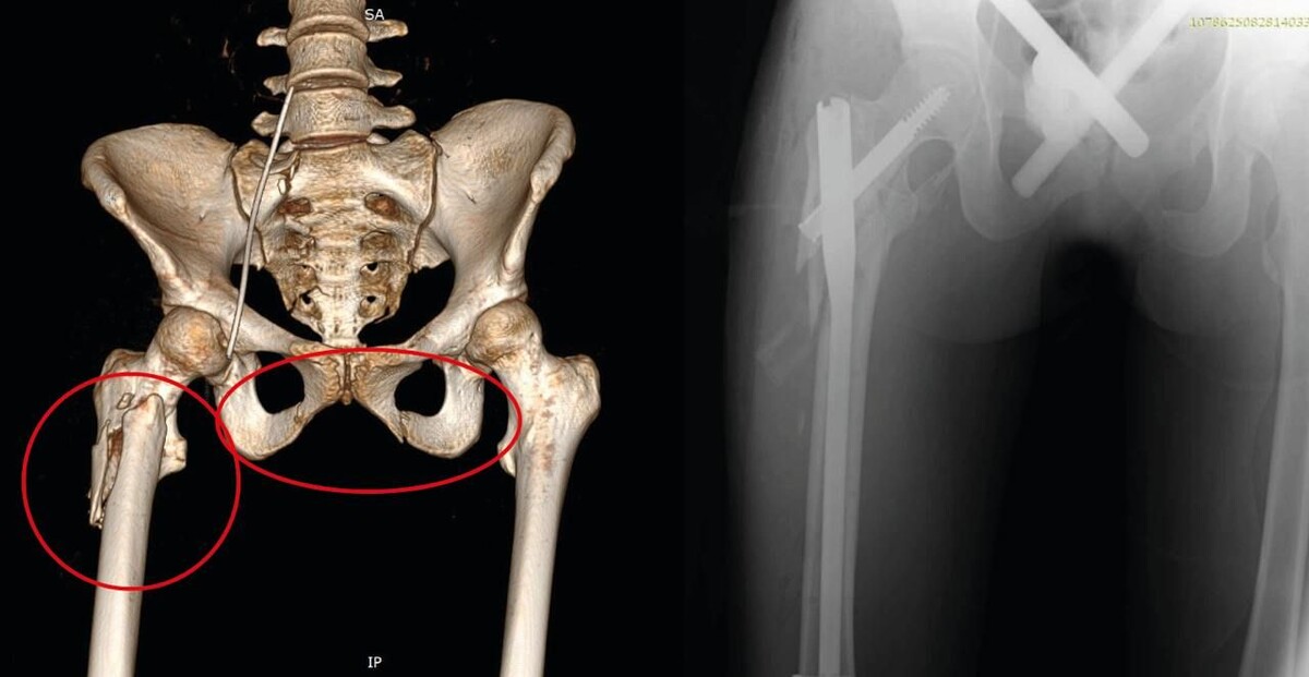     / Источник: © Портал Правительства Московской области